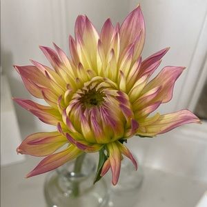 Hi there, I’m Jenn!